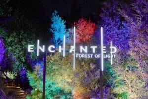 Enchanted Forest of Light Returns to Descanso Gardens 2022