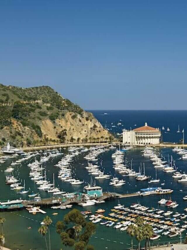 Fun Things to Do With Kids in Catalina Island Story