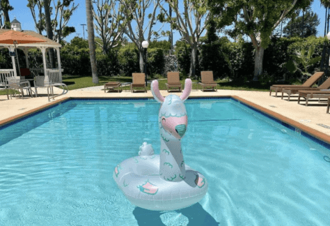 Fun Things with Kids in Carson