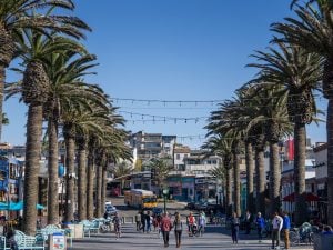 South Bay Holiday Gift Guide