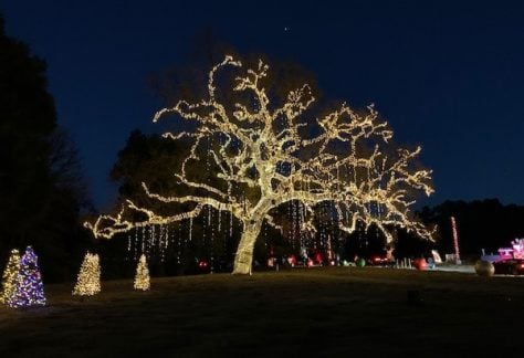 holiday lights in los angeles