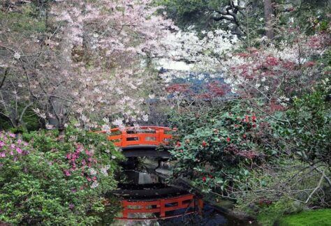 Local Anchor Home Page 41 Fun Things to Do in Southern California This Spring