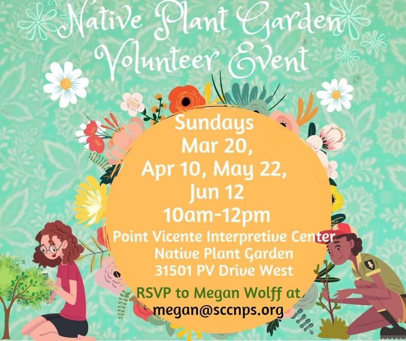 Native Plant Garden Volunteer Event 7 112441 image 278604391 349995973835136 1957952154086125463 n