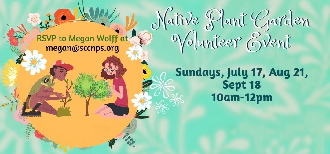 Native Plant Garden Volunteer Event 7 115100 image 289699722 396089895892410 3573246577437858445 n
