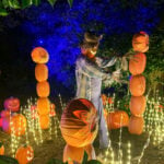 Carved Descanso Gardens 2023