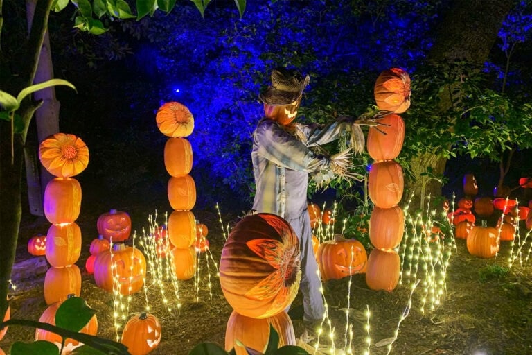 Carved Descanso Gardens 2023