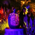 Carved Descanso Gardens