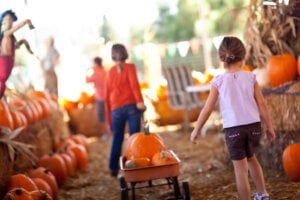 Best Pumpkin Patches in Los Angeles and Orange County