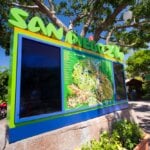 Kids Free San Diego