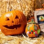 south bay halloween
