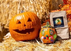 south bay halloween