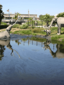 Museums Free-for-All day