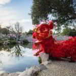 Huntington Lunar New Year Festival 113 128890 image 418737263 795679479268578 724955695947185303 n