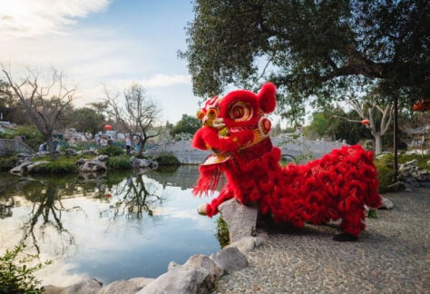 Huntington Lunar New Year Festival 37 128890 image 418737263 795679479268578 724955695947185303 n