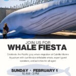 Whale Fiesta 2026