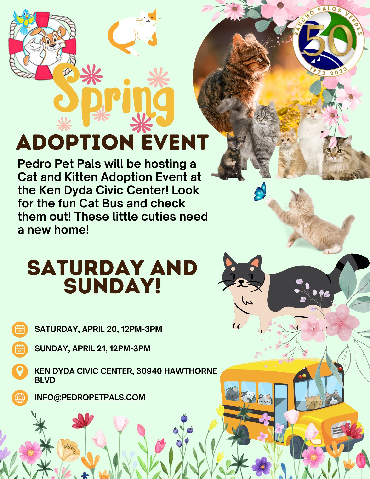 Pedro Pet Pals Cat and Kitten Adoption Event 8 Pedro Pet Pals Cat and Kitten Adoption Event