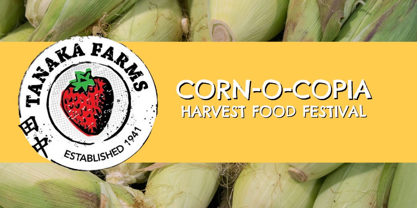 Corn