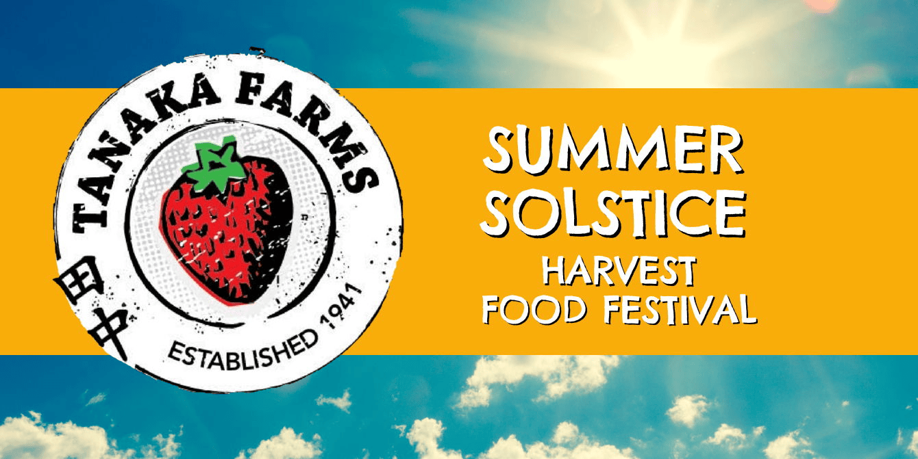 Summer Solstice