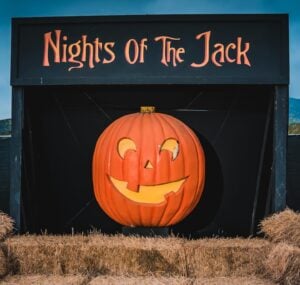 nights of the jack
