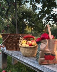 10 Los Angeles Apple Picking Locations to Visit This Fall  