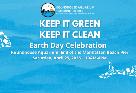 Keep It Green, Keep It Clean Earth Day Celebration 61 qgiv banner png 1770928365 large