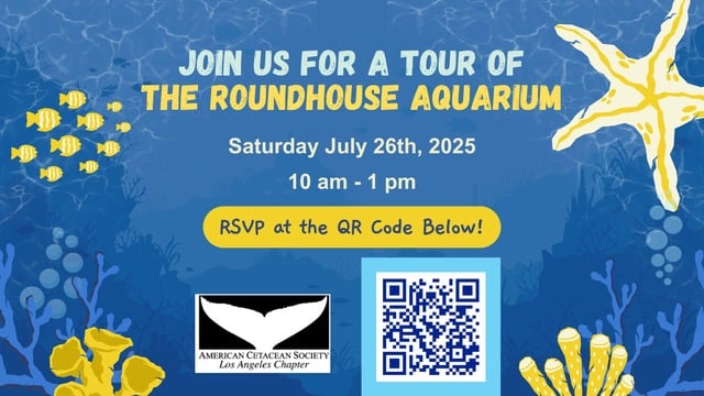 Roundhouse Aquarium visit!
