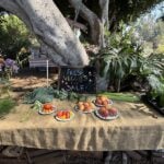 Valmonte Farm & Garden: Where Minds and Community Blossom in Palos Verdes