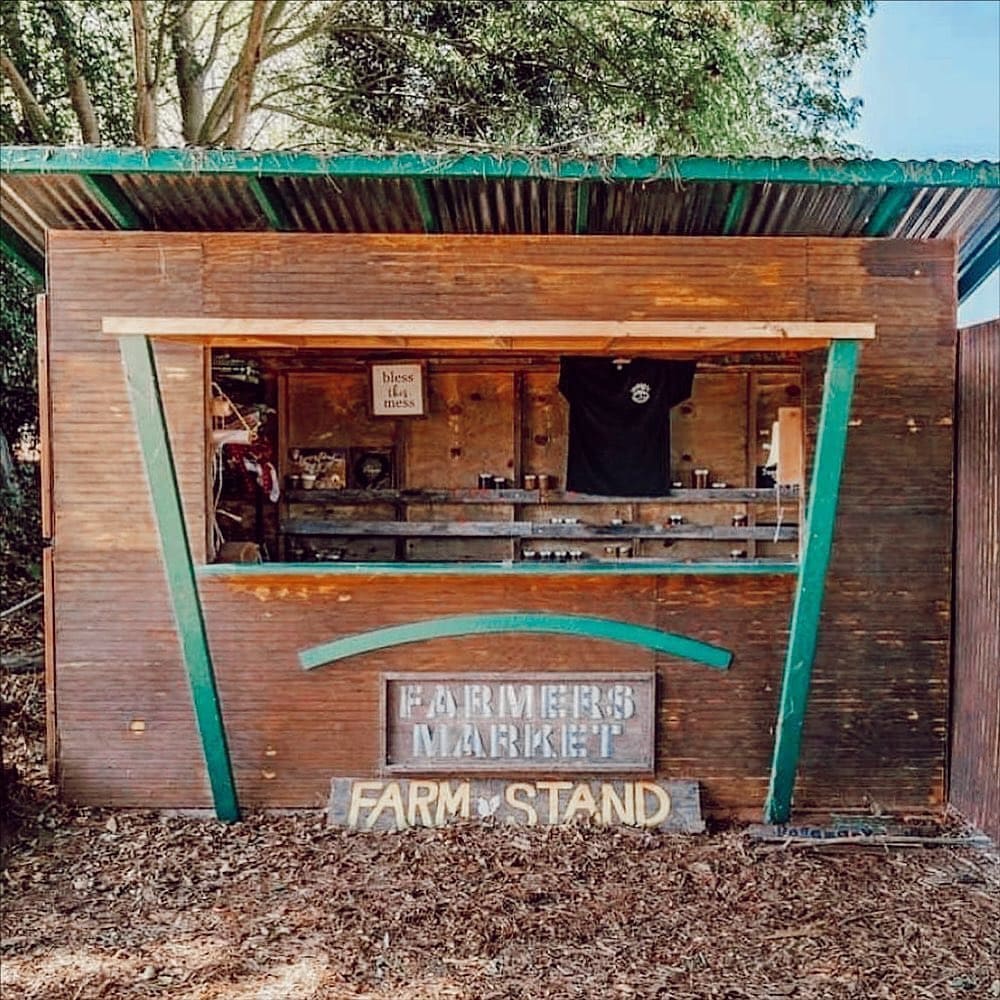Valmonte Farm & Garden: Where Minds and Community Blossom in Palos Verdes