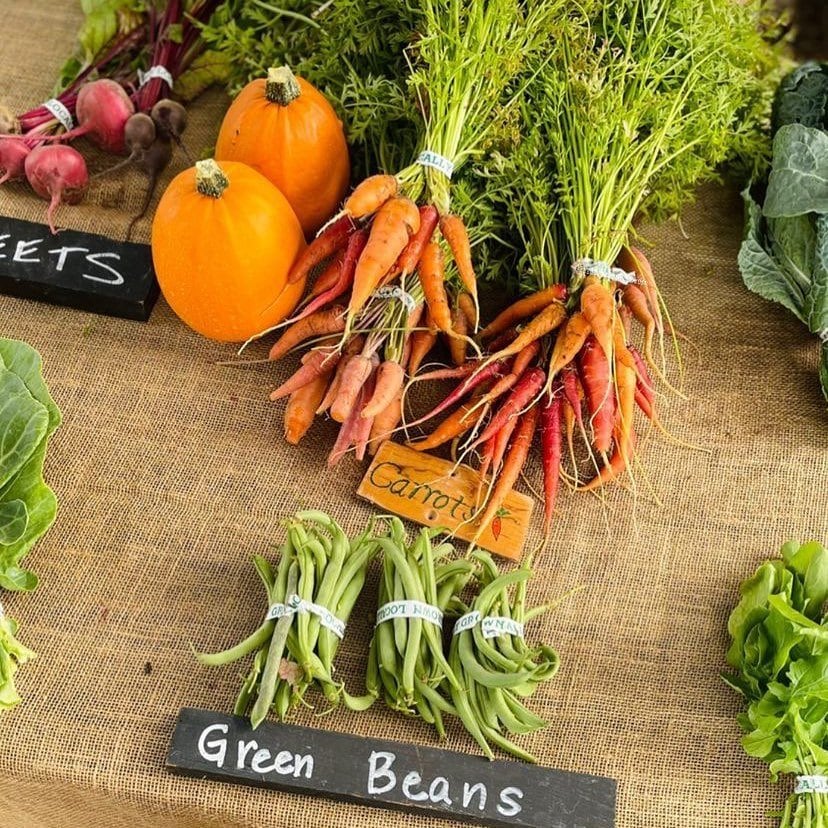Valmonte Farm & Garden: Where Minds and Community Blossom in Palos Verdes