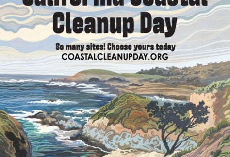 Coastal Cleanup Day 2026 45 Coastal Cleanup 2026
