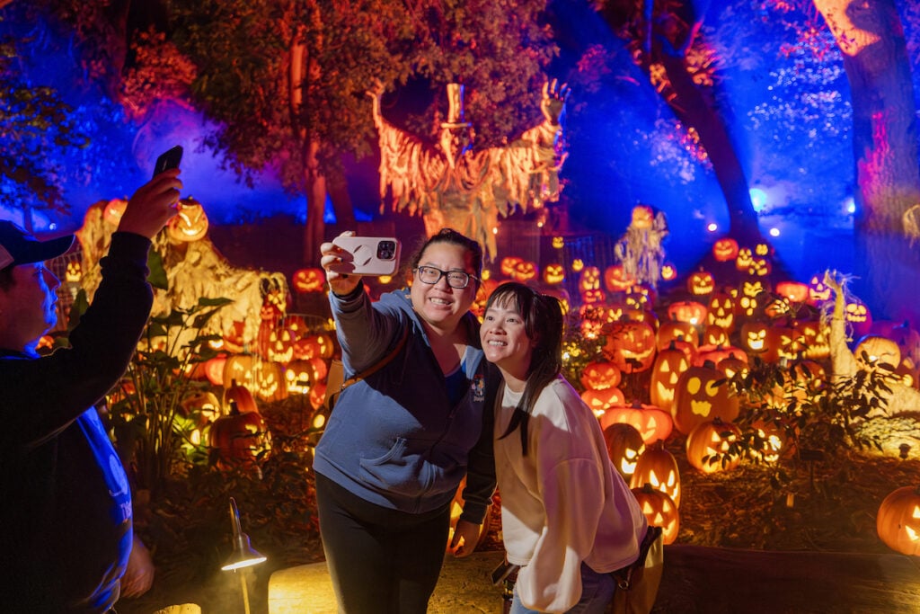 Carved Brings Pumpkin-Filled Family Fun to Descanso Gardens in 2026 6 Carved Descanso