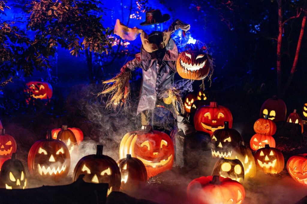 Carved Brings Pumpkin-Filled Family Fun to Descanso Gardens in 2026 5 Carved Descanso