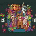 137920 image
