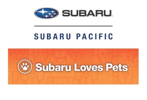 Subaru Loves Pets