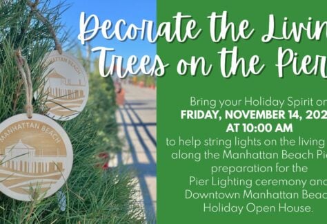 Decorate the Living Trees on the Pier 37 571022845 1250521327112482 5918755247474991236 n