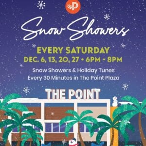 Snow Showers at The Point