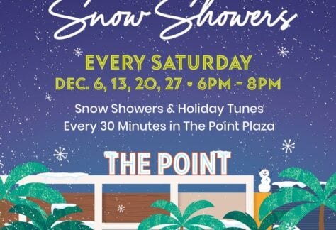 Snow Showers at The Point 61 Snow Showers at The Point