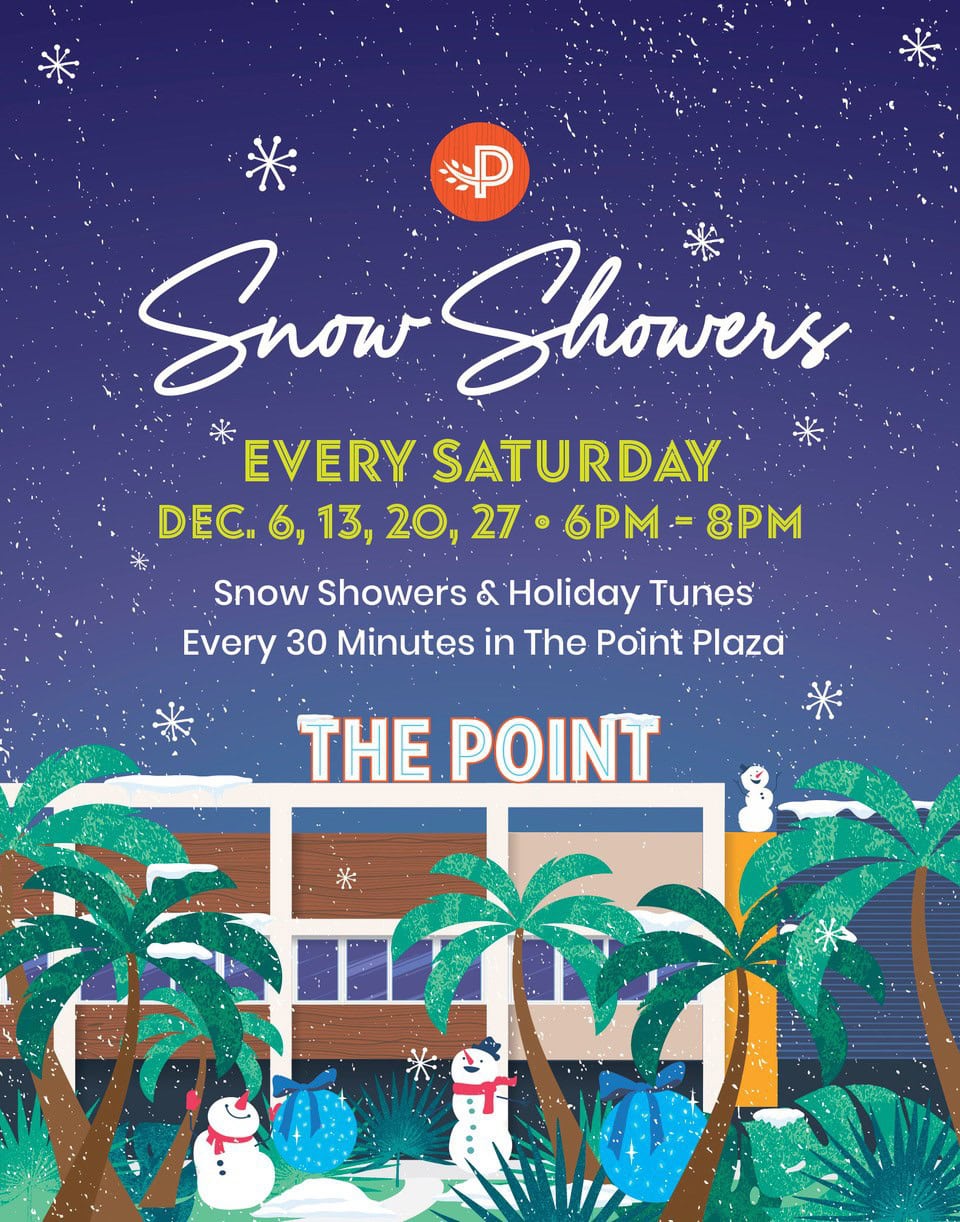 Snow Showers at The Point