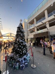 Christmas Tree Lighting at Shade Redondo Beach