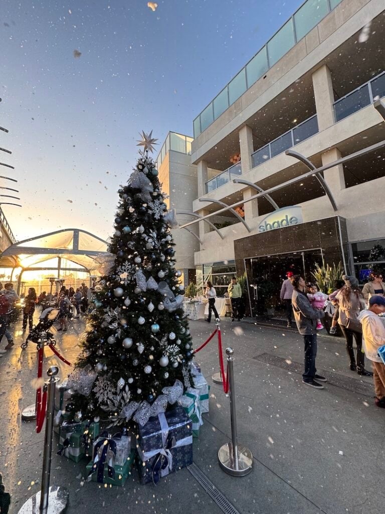 Christmas Tree Lighting at Shade Redondo Beach