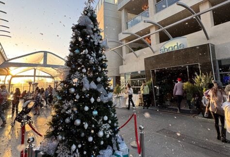 Christmas Tree Lighting at Shade Redondo Beach 28 Christmas Tree Lighting at Shade Redondo Beach