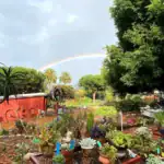 Valmonte Farm & Garden -- Holiday Market 9 IMG 0031 1