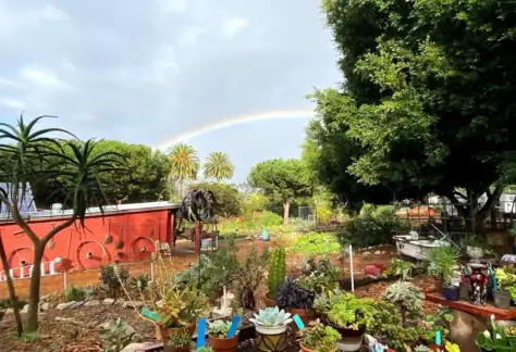 Valmonte Farm & Garden -- Holiday Market 94 IMG 0031 1