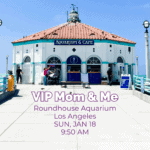 VIP Mom & Me Experience by Single Mom Strong LA 75 138776 image