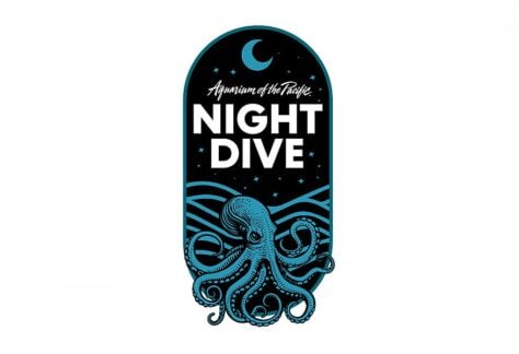 Valentine's Night Dive at Aquarium of the Pacific 53 Night Dive