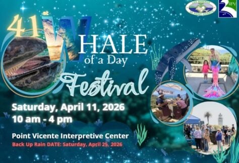 Whale of a Day 21 Whale Day