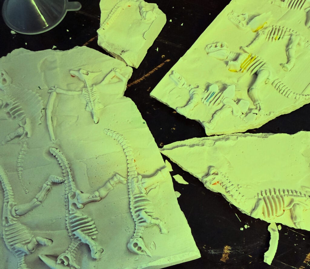 Camp Spotlight: SciKidz South Bay and Orange County Summer Camps 5 Camp Spotlight: SciKidz South Bay and Orange County Summer Camps