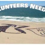 Kids Ocean day