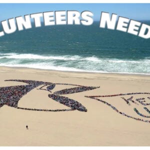 Kids Ocean day