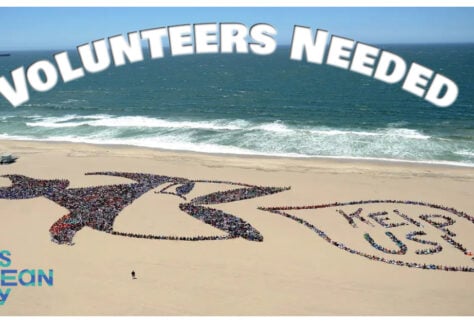 Kids Ocean Day 2026 72 Kids Ocean day